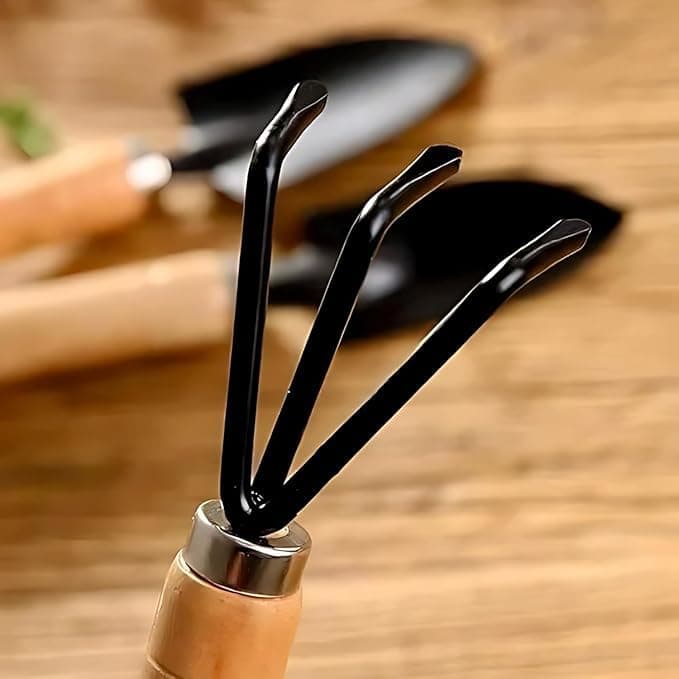 51qPsfZLZIL__1_.jpg1759000797160_KgC31jg2J